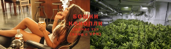 метадон Белокуриха